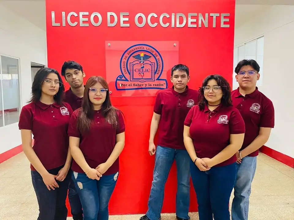 Inserción laboral